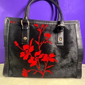 Cavaicanii stunning black and red accented purse